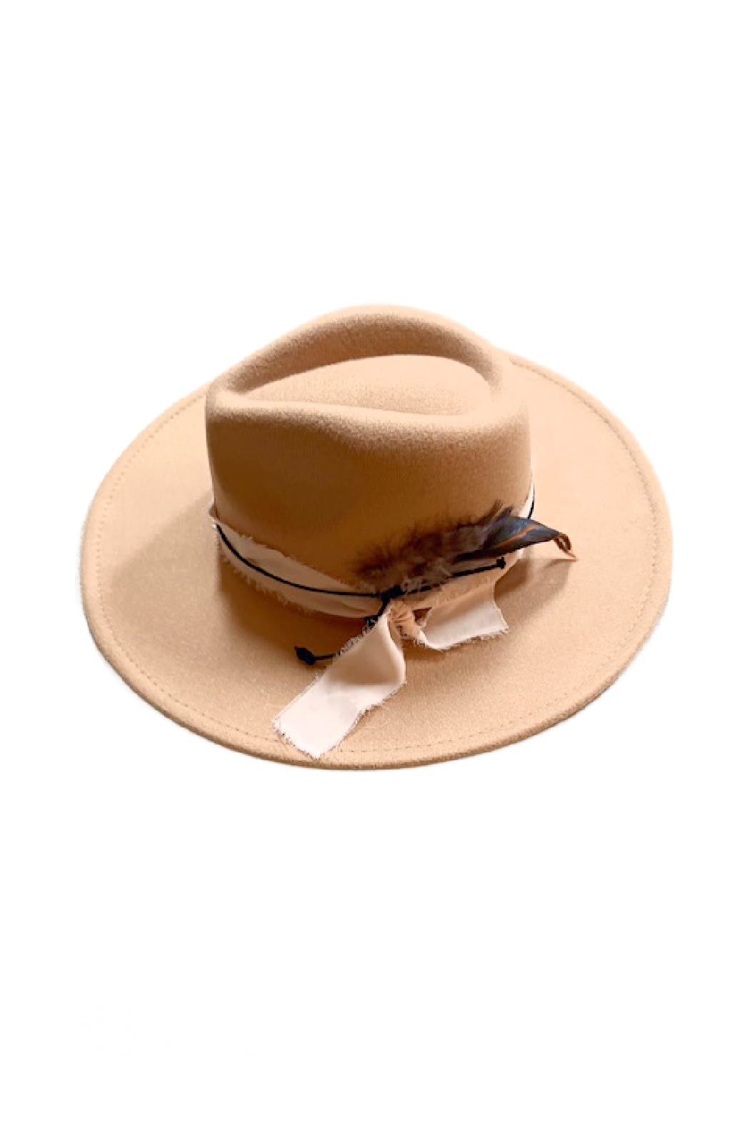 Feather, Suede and Ribbon Banded Fedora