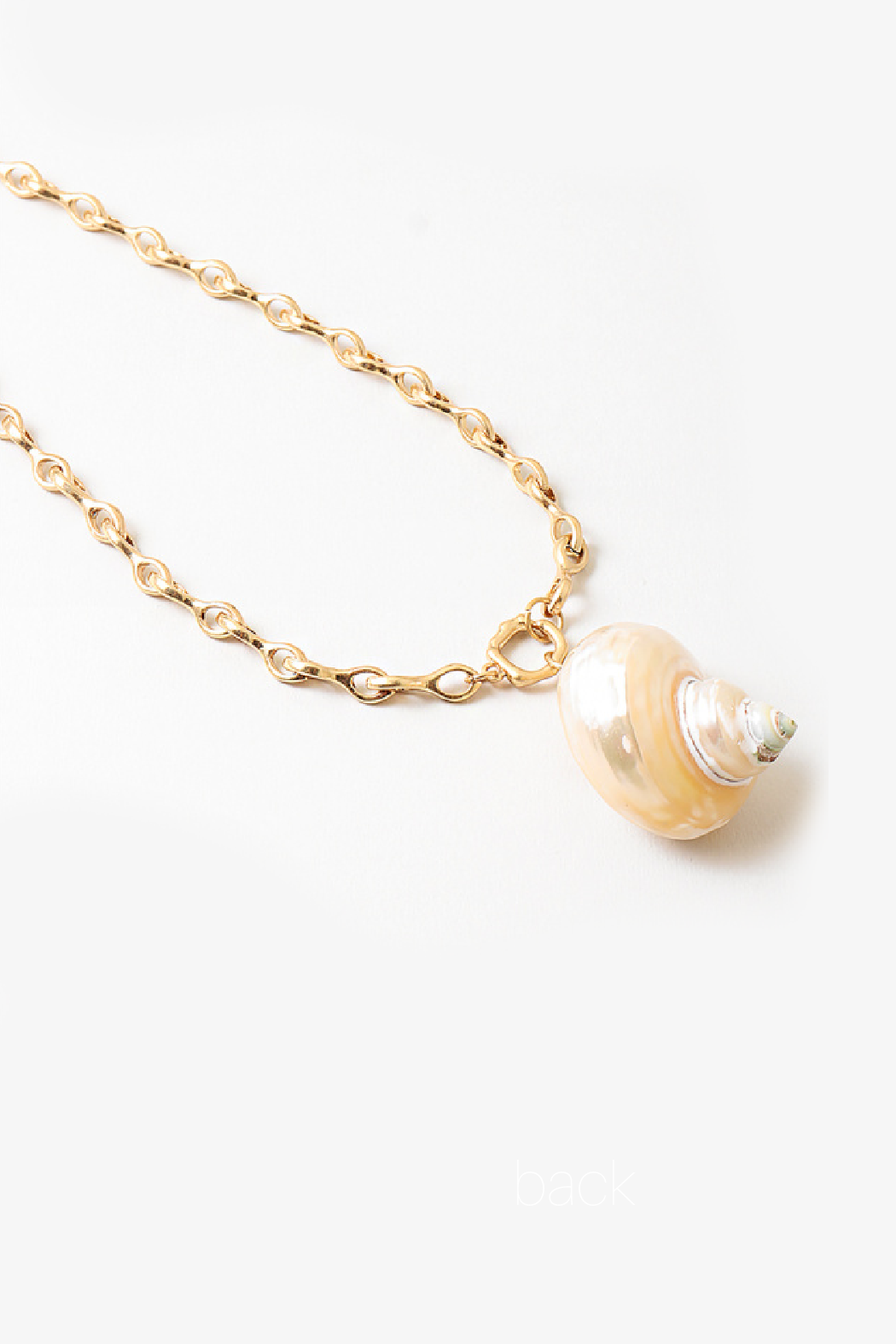 Seashell Necklace
