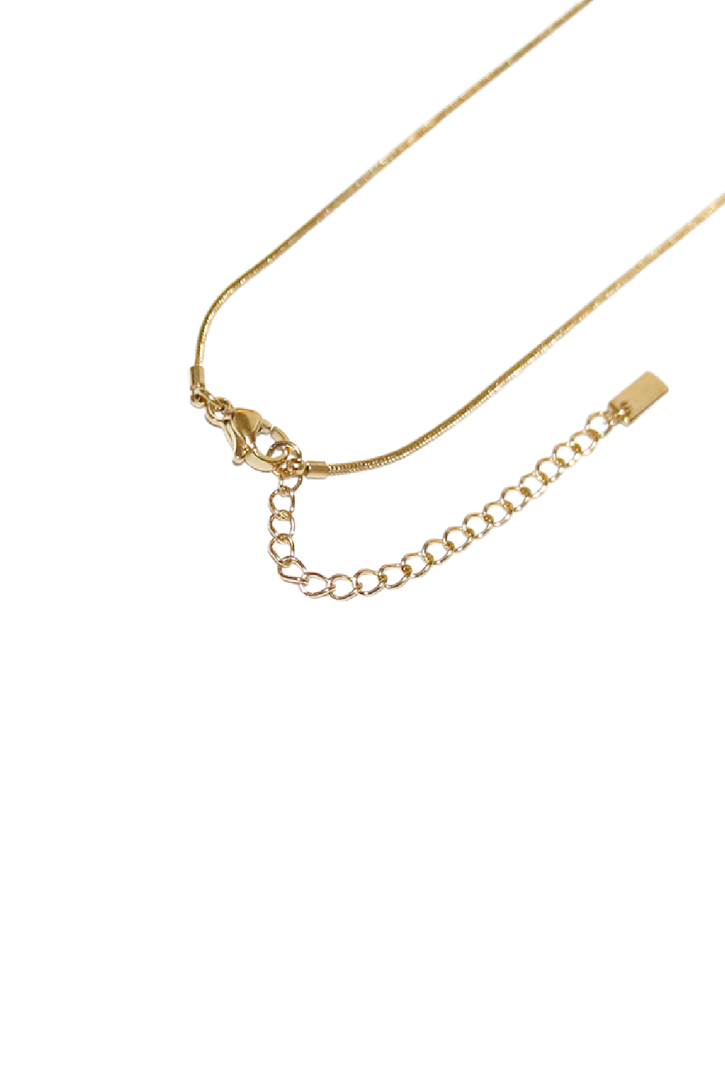 Water Proof Shell Necklace
