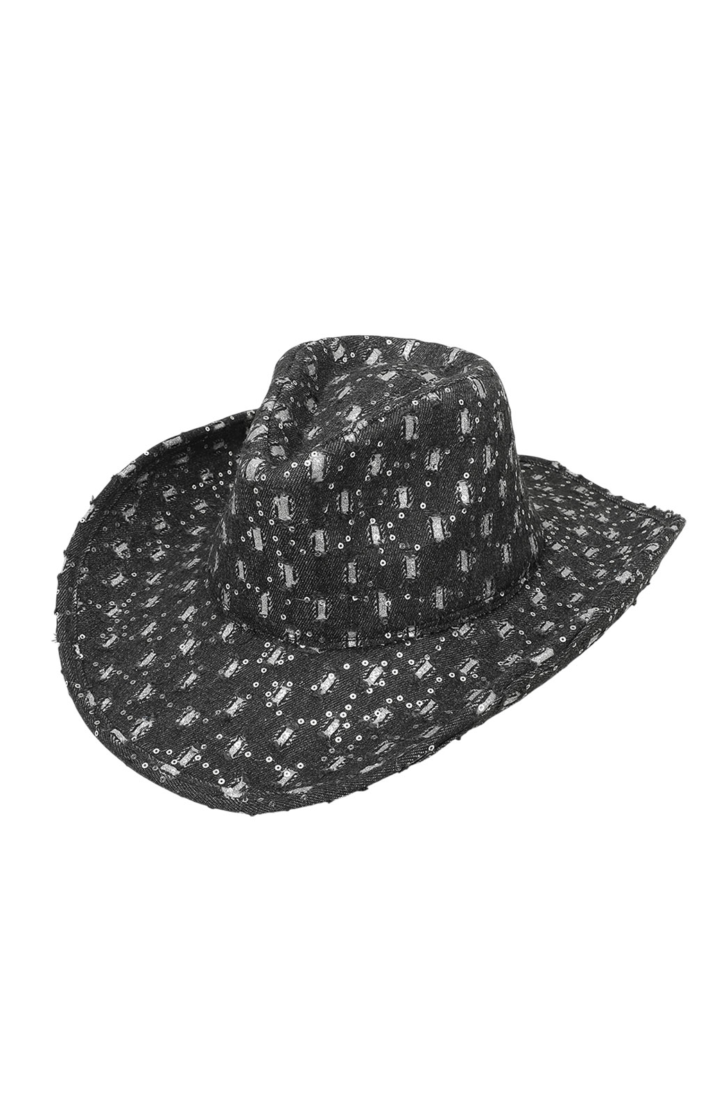 Sparkly Denim Cowboy Hat