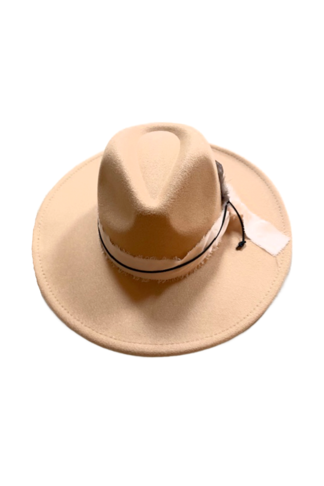 Feather, Suede and Ribbon Banded Fedora