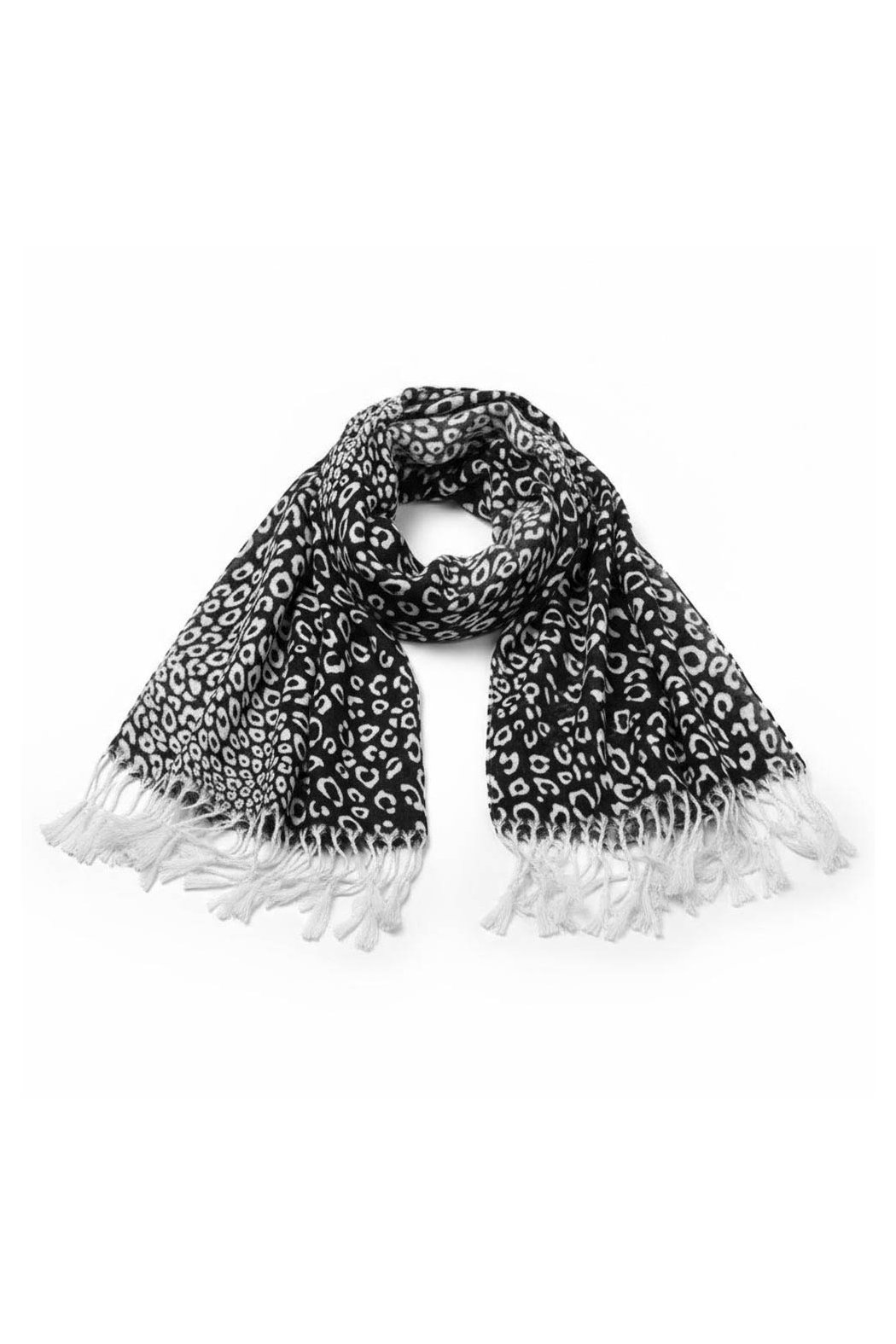 Black and white leopard print scarf draped in a loop, with fringe at both ends.