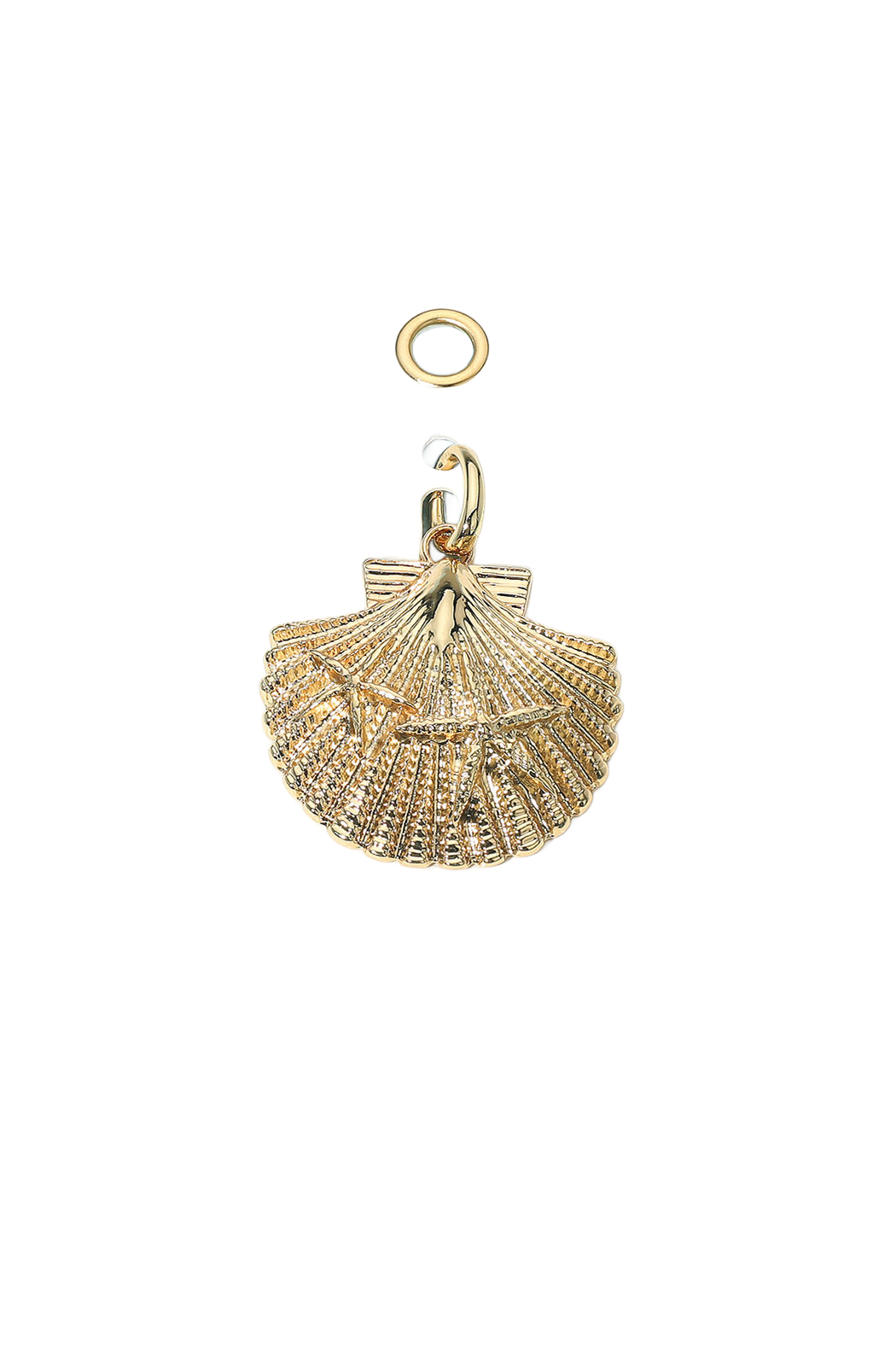 Scallop Shell Pendant