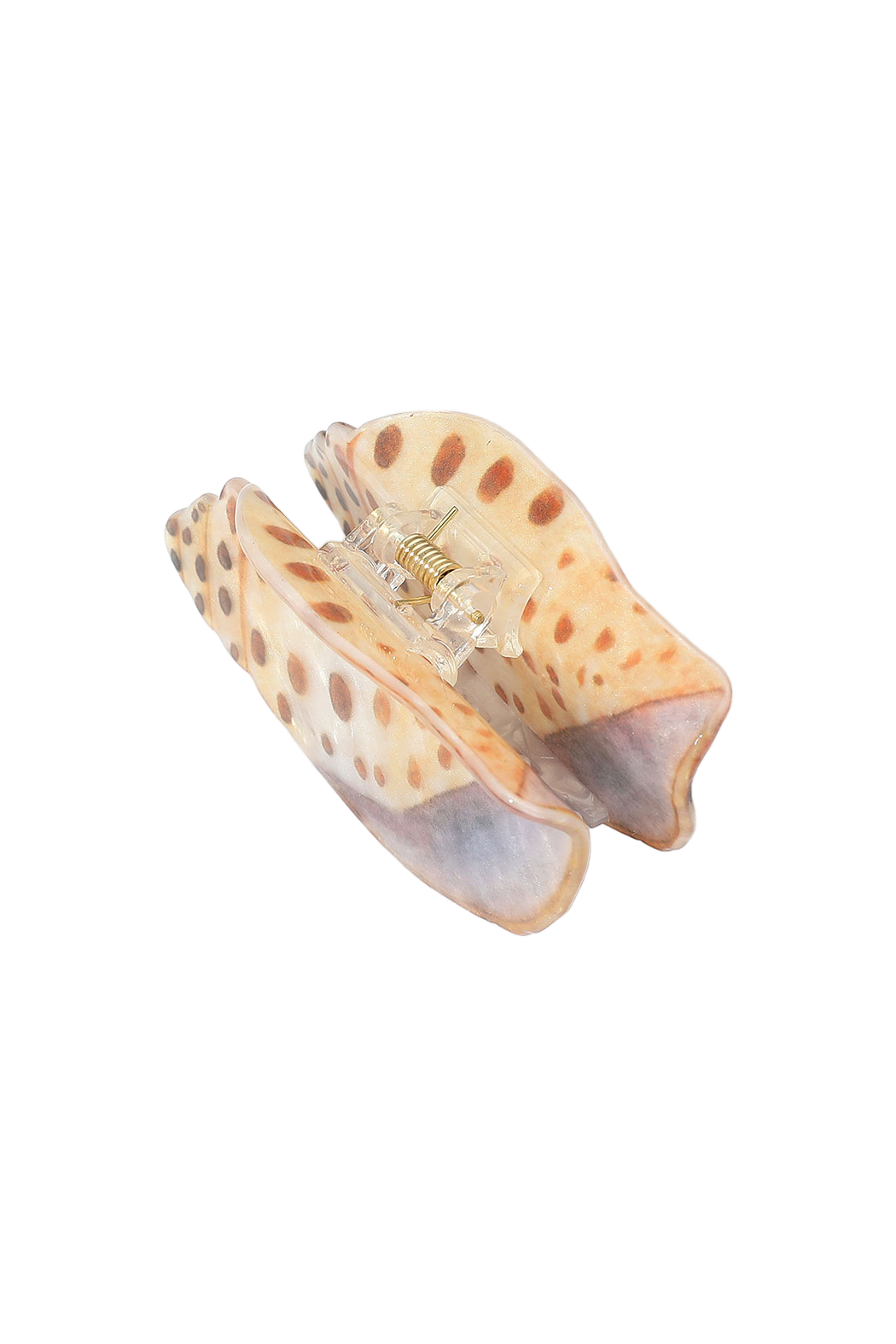 Shell Hair Clip