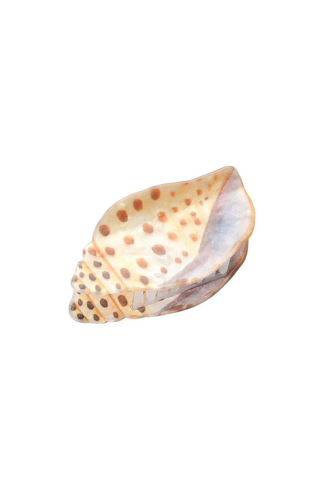 Shell Hair Clip