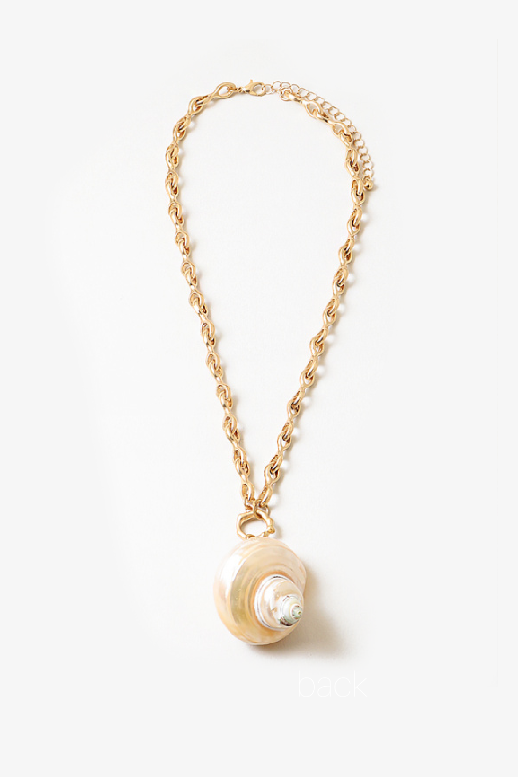 Seashell Necklace
