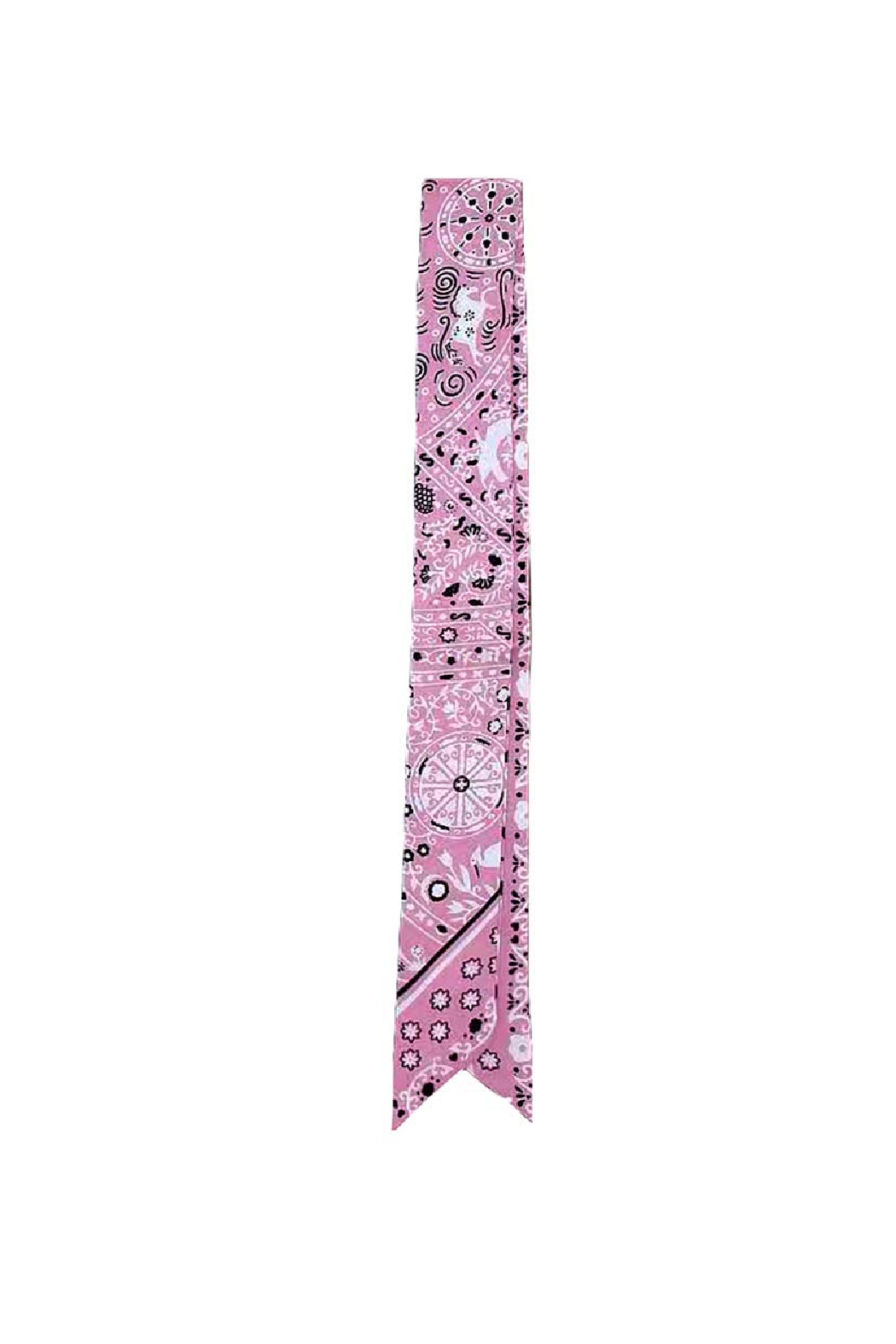 Skinny Bandana Scarf