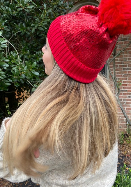 Sparkle Beanie